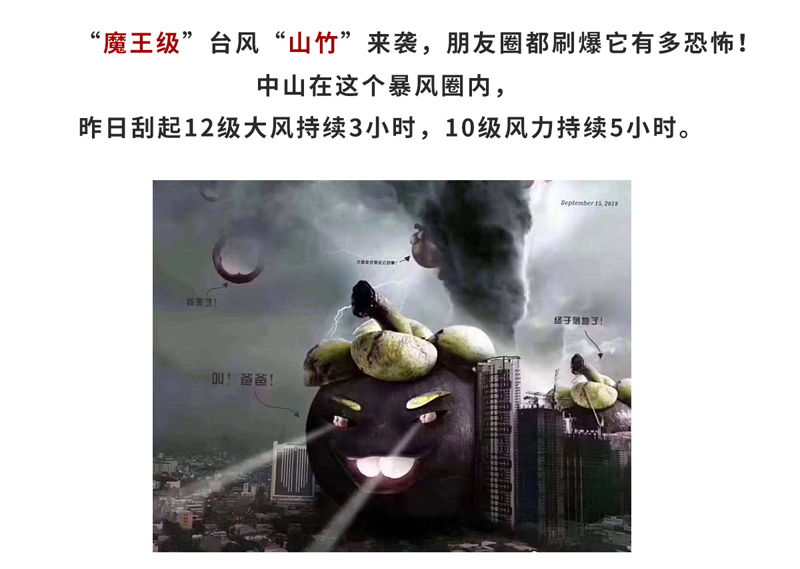 灞辩鍙伴娓呯悊鎶ュ埌-2_01.jpg